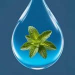 Peppermint Aromatherapy Essential Oil