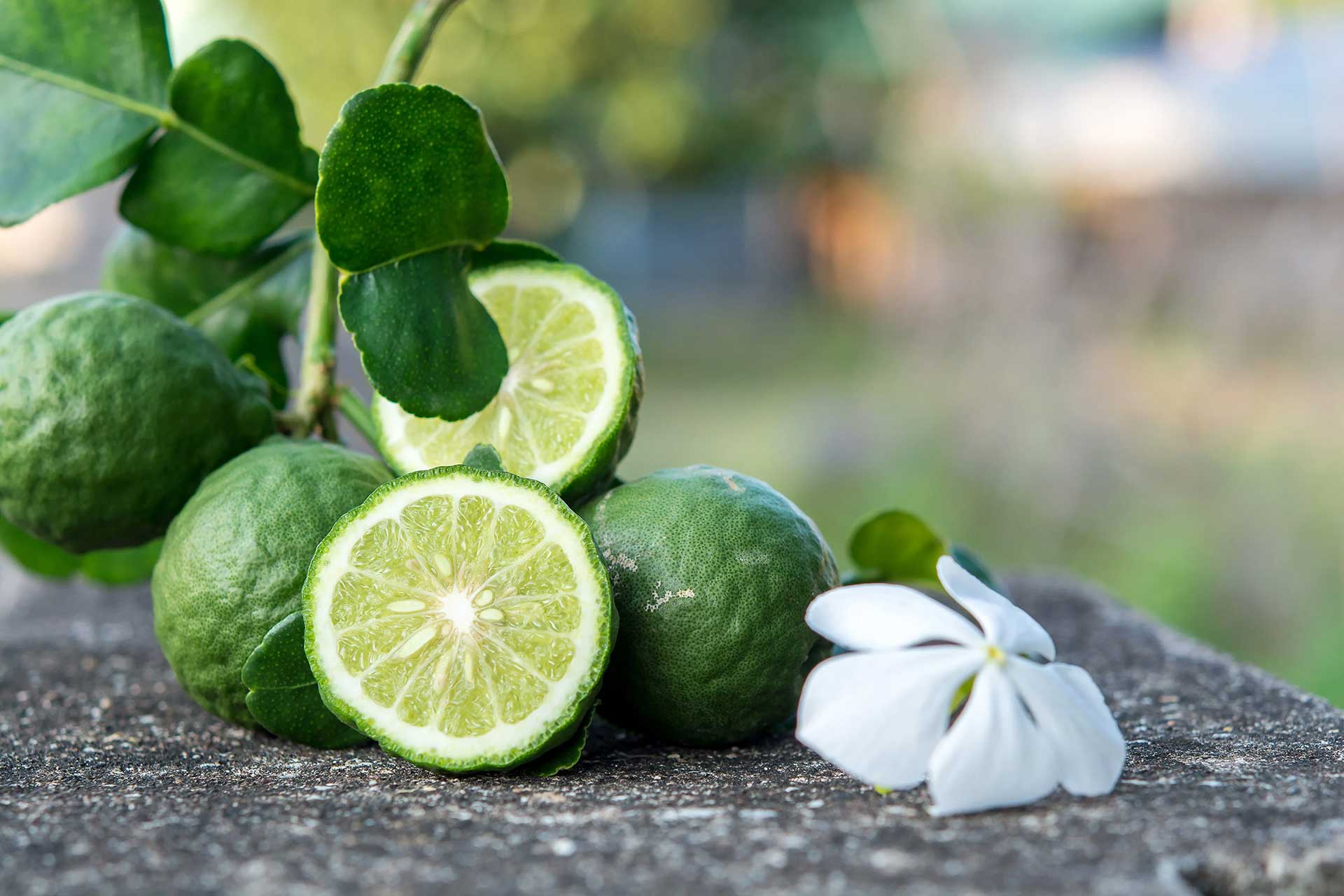 100% Pure Organic Essential Oil