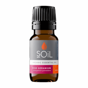 Rose Geranium Essential Oil